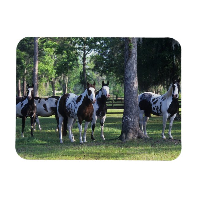 Magnet Flexible Peindre les chevaux dans les arbres (Horizontal)