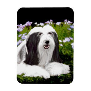 Magnet Flexible Peinture à collie à poils - Joli art original de c