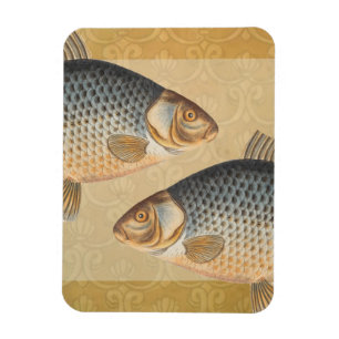 Magnet Flexible peinture de pêche de carpe dessin d'eau douce