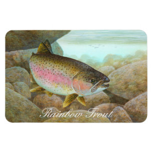 Magnet Flexible Peinture de truite arc-en-ciel