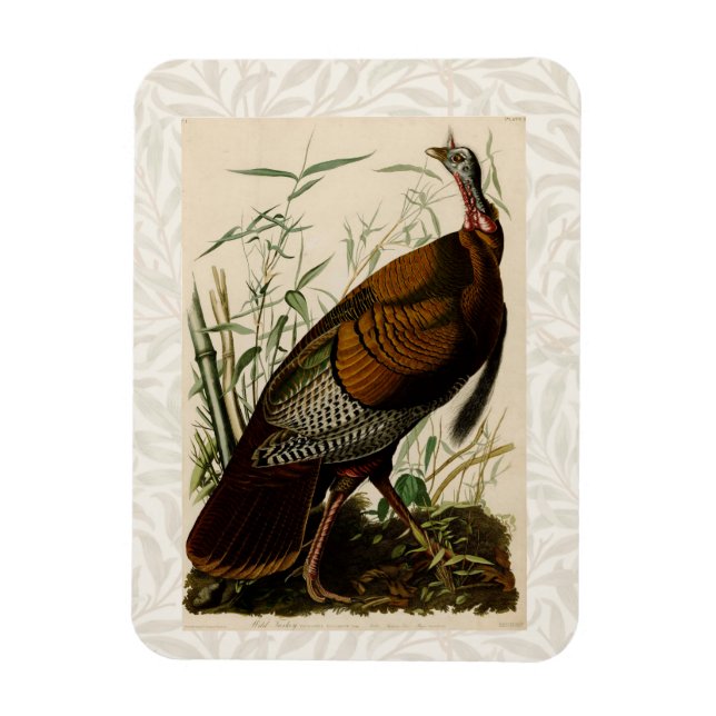 Magnet Flexible Peinture d'oiseaux sauvages de Turquie Audubon (Vertical)