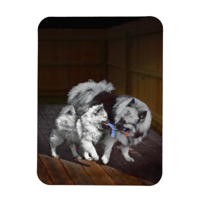 Magnet Flexible Peinture Keeshond Playtime - Jolie art original ch (Vertical)