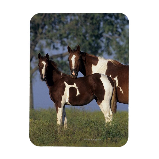 Magnet Flexible Peinture Mare & Foie (Vertical)