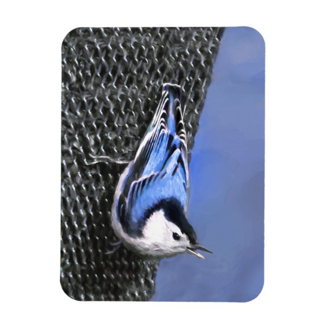 Magnet Flexible Peinture Nuthatch à poitrine blanche Art original (Vertical)