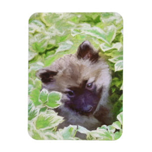 Magnet Flexible Peinture originale d'un chiot Keeshond dans le jar