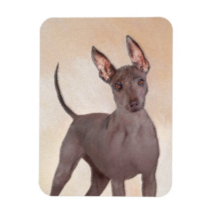 Magnet Flexible Peinture Xoloitzcuintli - Beau art original de chi