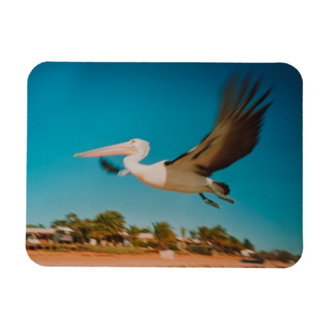 Magnet Flexible Pélican (Horizontal)