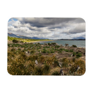 Magnet Flexible Penguinera