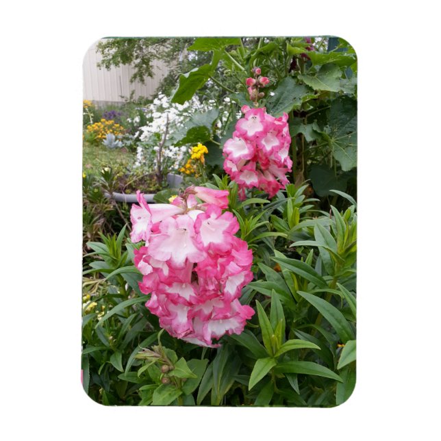 Magnet Flexible Pennsylvanie Fleur Jardin floral Anniversaire Magn (Vertical)