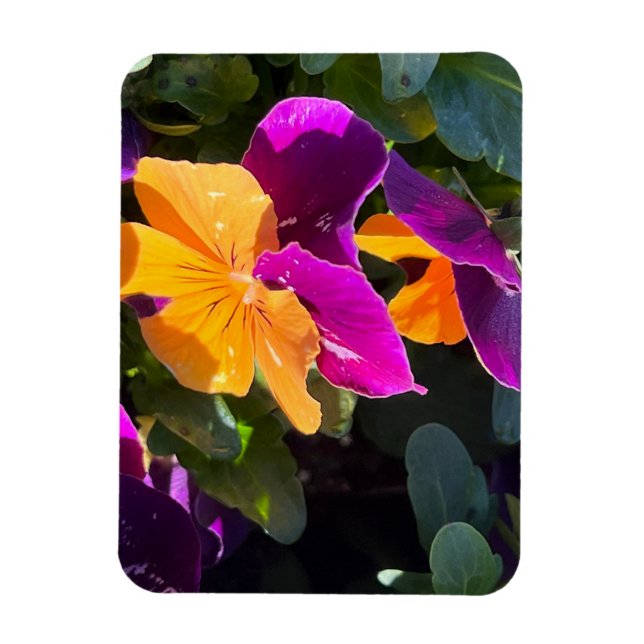 Magnet Flexible Pensée orange et violet (Vertical)