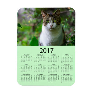 Magnet Flexible Personnalisez ce mini calendrier photo verte 2017