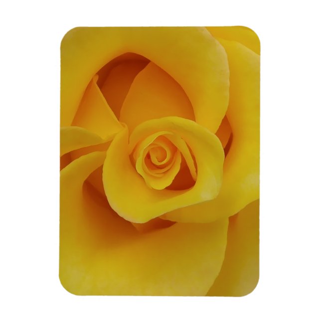 Magnet Flexible Pétales de rose jaune romantiques (Vertical)