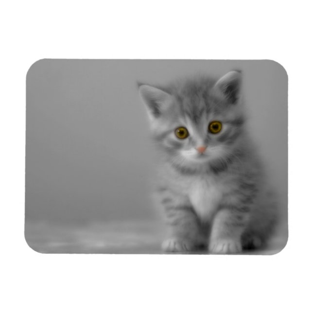 Magnet Flexible Petit chaton doux (Horizontal)