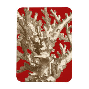 Magnet Flexible Petit corail en rouge