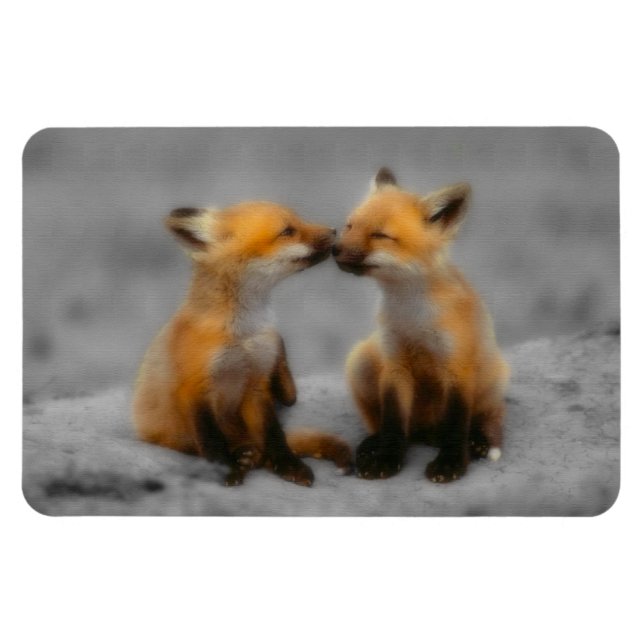 Magnet Flexible Petit Fox Love (Horizontal)