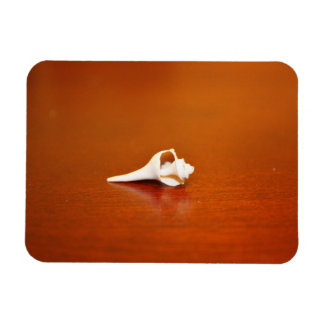 Magnet Flexible Petite coque