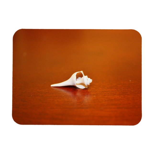 Magnet Flexible Petite coque (Horizontal)