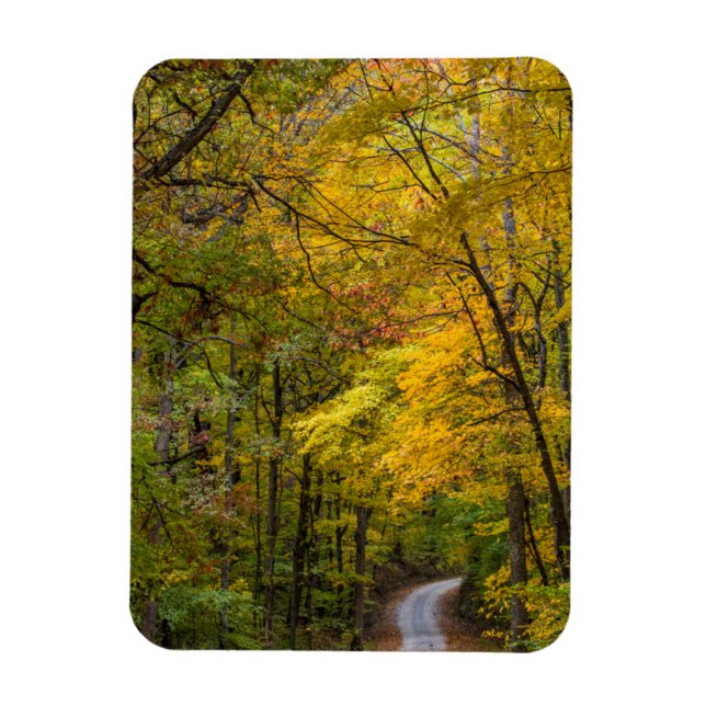 Magnet Flexible Petite route de gravier bordée de couleurs d'autom (Vertical)