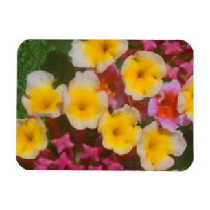Magnet Flexible Petites Fleurs Tropicales Jaunes Aux Bureaux Roses
