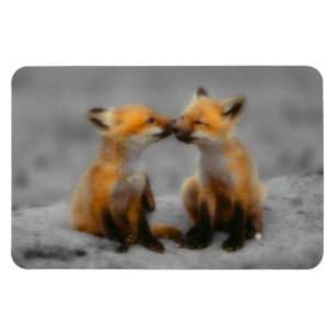 Magnet Flexible Peu d'amour de Fox
