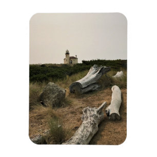 Magnet Flexible Phare de la rivière Coquille, OU