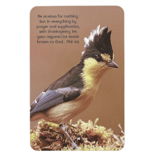 Magnet Flexible "Phil 4:6" Anxiété Concours foi prière