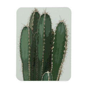 Magnet Flexible Photo cactus moderne