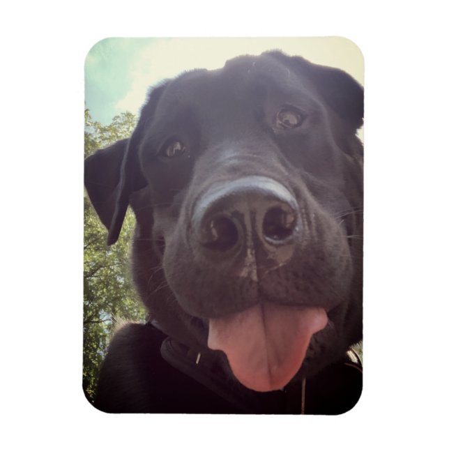 Magnet Flexible Photo de chien Selfie Black Lab (Vertical)