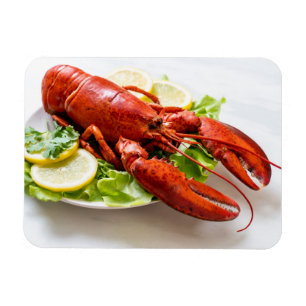 Magnet Flexible Photo de homard