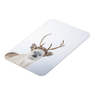 Magnet Flexible Photo de la nature des rennes