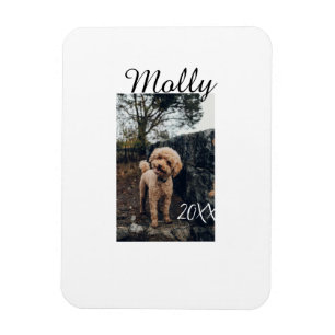 Magnet Flexible Photo de naissance d'animal de compagnie chien cha