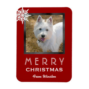 Magnet Flexible Photo de Noël 3x4 Salutation du chien / animal