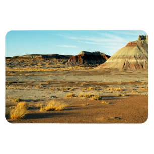Magnet Flexible Photo de paysage de l'Arizona de désert de forêt