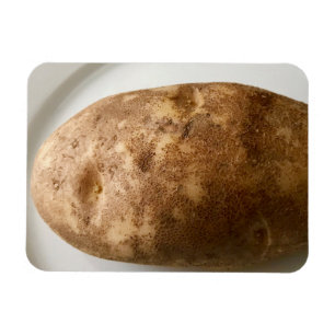 Magnet Flexible Photo de pomme de terre Russet sur une assiette bl
