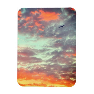 Magnet Flexible Photo d'oiseau volant nuages roses ciel