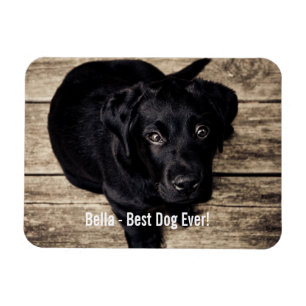 Magnet Flexible Photo et nom du chien du Black Lab personnalisé