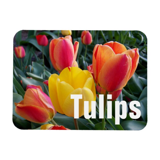 Magnet Flexible Photo personnalisée (Horizontal)