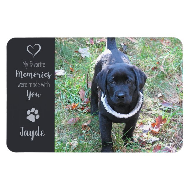 Magnet Flexible Photo pour animaux de compagnie - Photo pour chien (Horizontal)