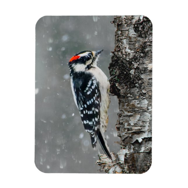 Magnet Flexible Pic Downy en neige - Photo originale (Vertical)