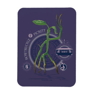 Magnet Flexible PICKETT™ Le graphique BOWTRUCKLE™