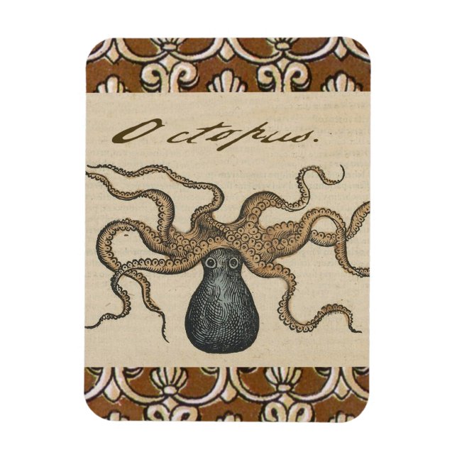 Magnet Flexible Pieuvre Kraken Antique Faune Marine Côtière (Vertical)