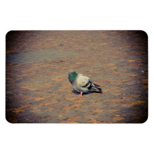 Magnet Flexible Pigeon