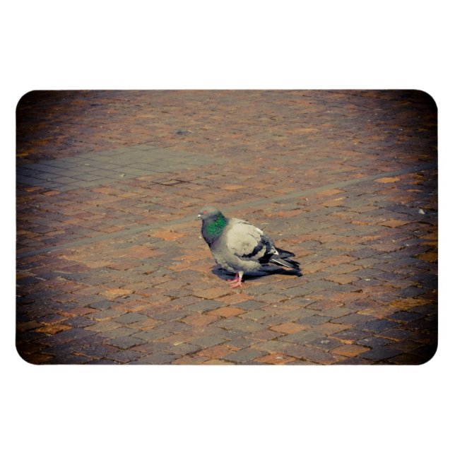 Magnet Flexible Pigeon (Horizontal)