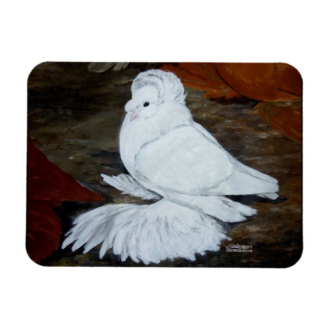 Magnet Flexible Pigeon trompette anglais blanc (Horizontal)