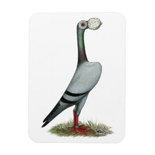 Magnet Flexible Pigeon voyageur 2012