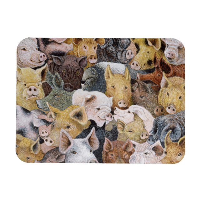 Magnet Flexible Pigs Galore (Horizontal)