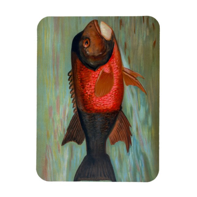 Magnet Flexible Pike de Sacramento par John L Petrie (Vertical)