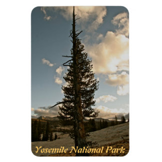 MAGNET FLEXIBLE PIN À YOSEMITÉ NATIONAL PARK