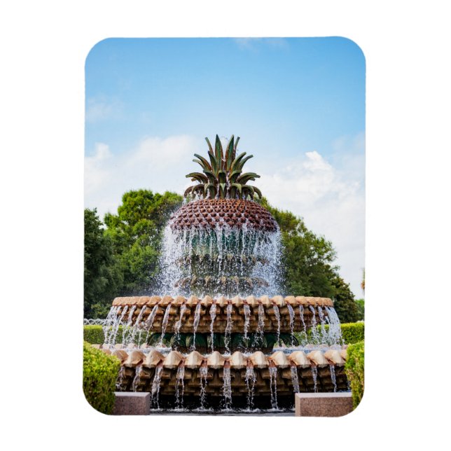 Magnet Flexible Pineapple Fountain à Charleston (Vertical)