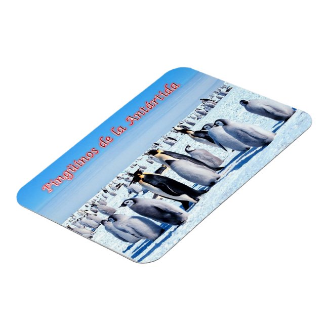 Magnet Flexible Pingouins de l'Antarctique - (Côté Gauche)